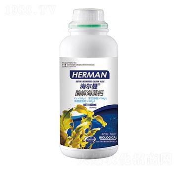 ø�⺣���}-������-�n