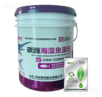 ̼ø�����~����-�n��-