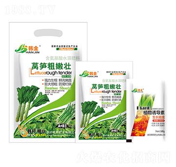 �n�S���ۉ�-�n��-�n��ʘI(y��)