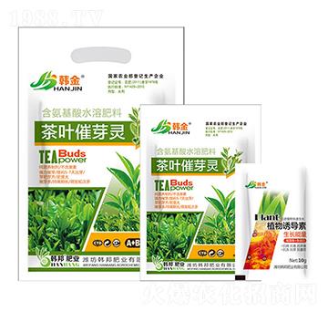 ���~��ѿ�`-�n��-�n��ʘI(y��)