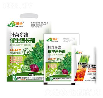 �~�˶�S�������L��-�n��-�n��ʘI(y��)