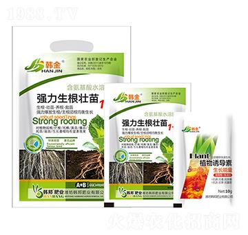 ��(qi��ng)����������1+1-�n��-�n��ʘI(y��)