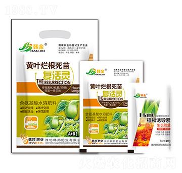 �S�~���������(f��)���`-�n��-�n��ʘI(y��)