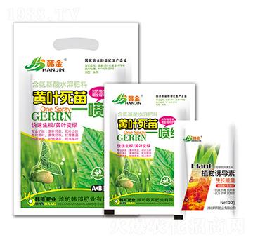 �S�~����һ���G-�n��-�n��ʘI(y��)