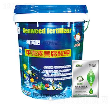 �ך����S����⛺����-�n��-�n��ʘI(y��)