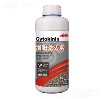 ����������-�n��-�n��ʘI(y��)