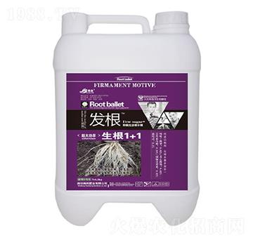 ����ֲ��ˮ�ܷ���-����1+1-�n��-�n��ʘI(y��)