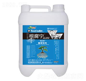 �ز���-������-�n��-�n��ʘI(y��)