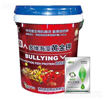 ���}����Ͷ�S�����S���-�n��-�n��ʘI(y��)