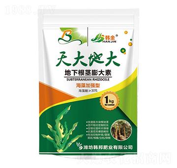 海藻加強(qiáng)型地下根莖膨大素-天大地大-韓金-韓邦肥業(yè)