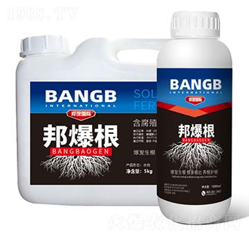 含腐殖酸水溶肥料-邦爆根-邦保國(guó)際