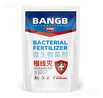 根結(jié)線(xiàn)蟲(chóng)病害專(zhuān)用微生物菌劑-根線(xiàn)滅-邦保國(guó)際