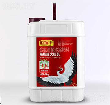 辣椒膨大拉長-含氨基酸水溶肥料-歐瑞豐