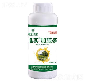 唯實(shí)·加施多