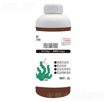 ������1L��-Ψ��(sh��)