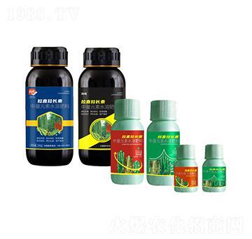 拉直拉長(zhǎng)素-鴻鳴