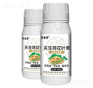 天生芽花針?biāo)?鴻鳴