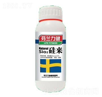 硅來-世力高生物