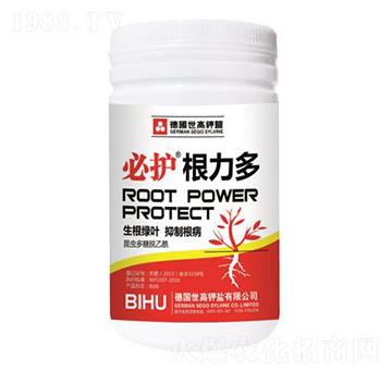 ���o(h��)������-����������