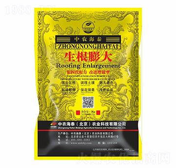 生根膨大-中農(nóng)海泰