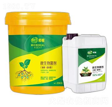 生根·促長(zhǎng)型微生物菌劑-邦根-惠多邦