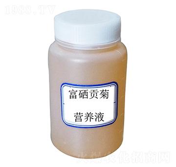 富硒貢菊營養(yǎng)液-硒維