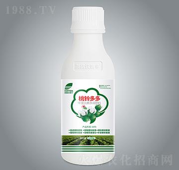 桃鈴多多-英露沃普豐