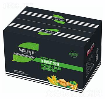 土豆高產(chǎn)套餐（箱）-英露沃普豐