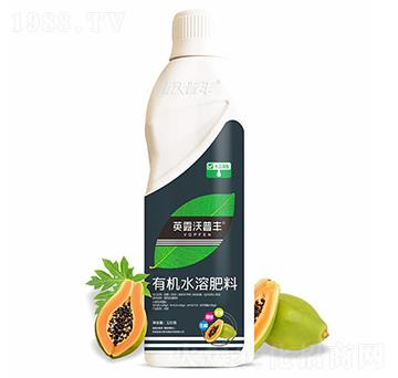 木瓜需配有機(jī)水溶肥料-英露沃普豐