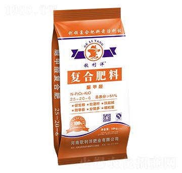 ���ȩ��(f��)�Ϸ���25-2