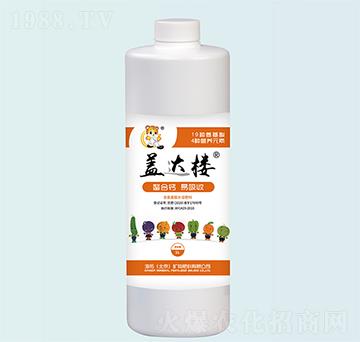 蓋達(dá)樓-海拓