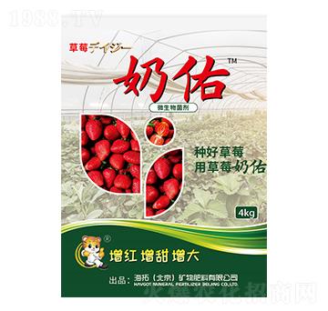 微生物菌劑-草莓奶佑-海拓