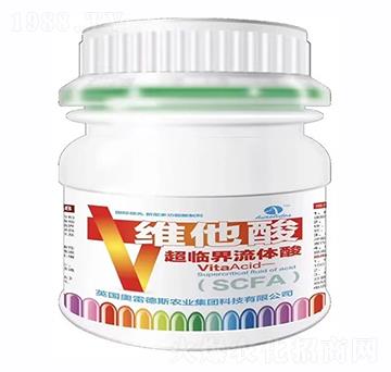 �S���ᳬ�R�����w��-�W�׵�˹