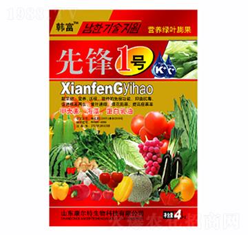 ���h1̖-������