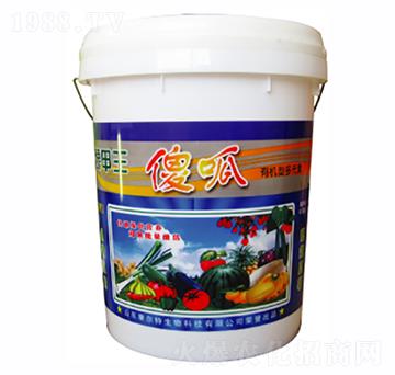 �ɣ��ι��ͣ�-������