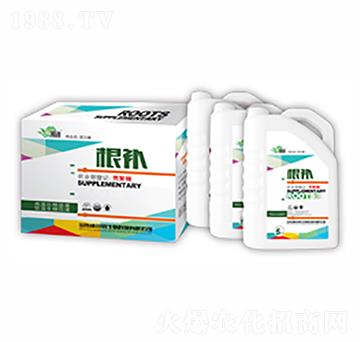 跟補(bǔ)-康爾特