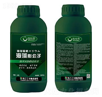 海藻膨公子-??破? />
</div>
</div>
<style type=