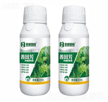 �~���(l��i)��(zhu��n)���~���-���﷼-�̷f����