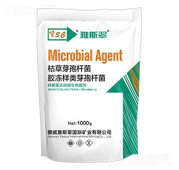 ���Sή����΢�������-��˹��