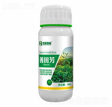 ���~��(zhu��n)���~���-���﷼-�̷f����