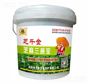 ֥�����錚-֥ǧ��-�������r