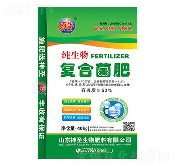 �ͺϾ���-��ʥ����