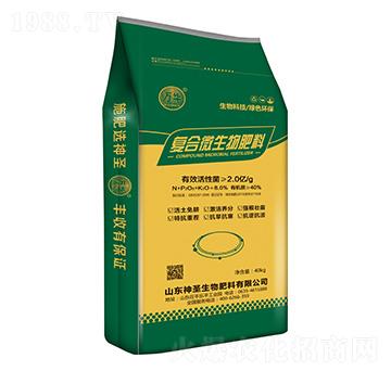 ������ͺϾ���-�������S-��ʥ����