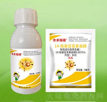 14-�u���|̦���޴�-�r(n��ng)������-�º��S