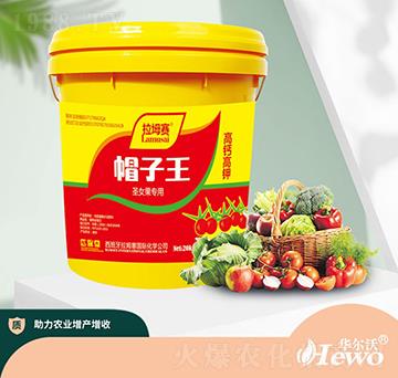 ʥŮ����(zhu��n)��-��ķ��-�A����