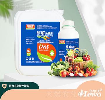 ø���~(y��)����-����ِ-�A����