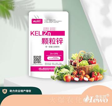 �w���\-�A����