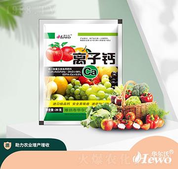 �x���}-�A������