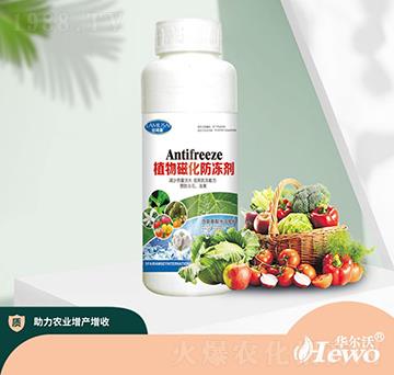 ֲ��Ż�������-�A����