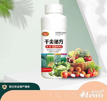 �ɼ��ط�-�A����